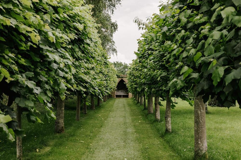 Cressy Hall - Historic Grade II Listed Manor, Gorgeous Topiary Garden Gosberton Exterior photo